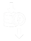 Coin Icon